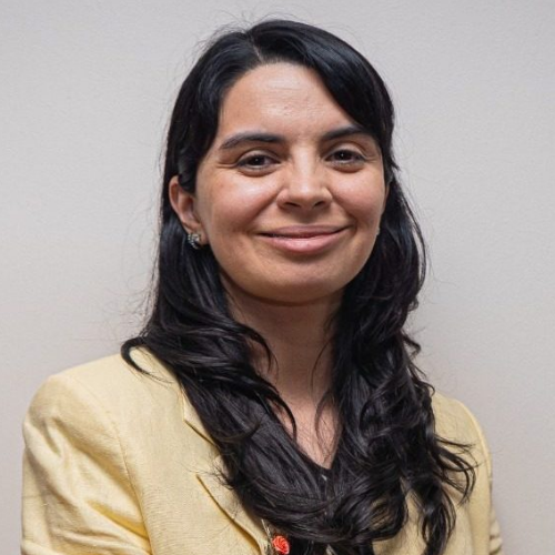 Laritza Medi Guiñez